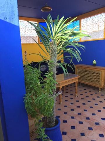 מרקש Authentic Moroccan Charm Apartment In Marrakech Terrace מראה חיצוני תמונה