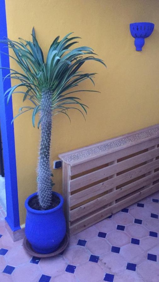 מרקש Authentic Moroccan Charm Apartment In Marrakech Terrace מראה חיצוני תמונה